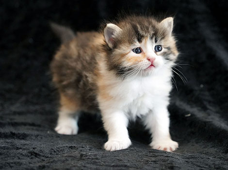 Nadeschda am 16.03.2025